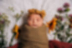 Newborn photography in Milwaukee