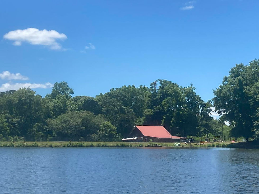 barn2.jpeg