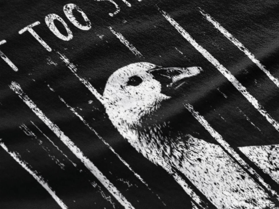 Thumbnail: Silly Goose Jailbird T-Shirt