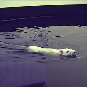 How do we measure memory in tricky populations?: Beyond semantic paradigms