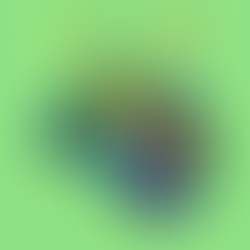 Understanding Autism in Females