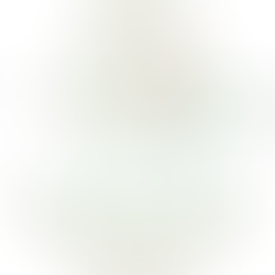 The Stress and Anxiety Epidemic: Modern-day crisis for developmental brain health