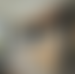 もうすぐ完成！家族の暮らしを豊かにする『城南の家』