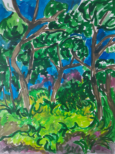 AlexanderGroissArtArtistKunstKünstlerwoodycorridorwaldpassage.jpeg