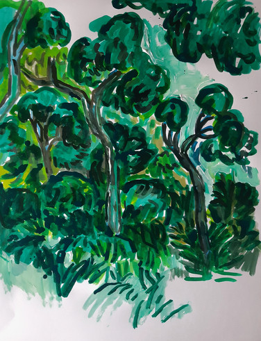 AlexanderGroissArtArtistKunstKünstlerwoodycorridorwaldpassage.jpeg