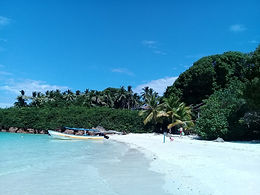 Ile aux iguanes