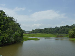Entre lac et jungle