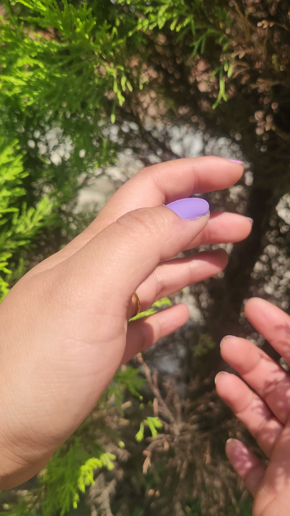Thumbnail: Krissa band ring