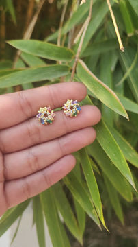 Thumbnail: Aahana stud