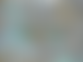 [SGCR Theme: Resolutions and Revolutions]