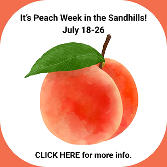 Copy of Calendar.png