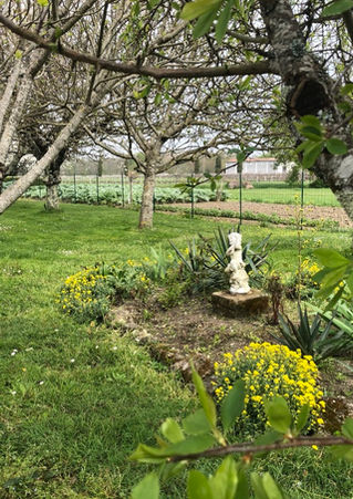 détail jardin