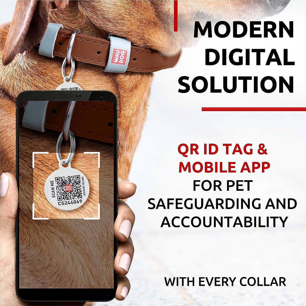 Thumbnail: Long Lasting Leather Dog Collar for XSmall Dogs 811 inch Neck x 0.5 inch Wide