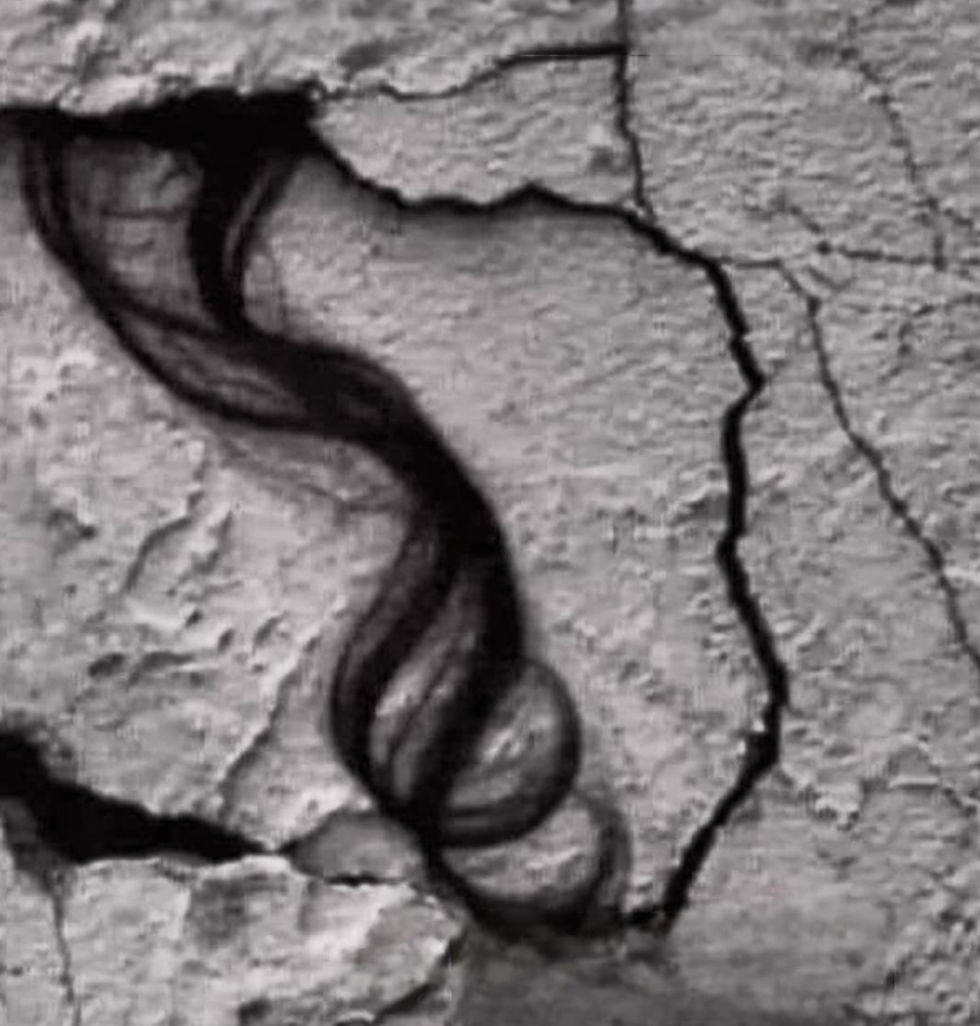 6 ŞUBAT BİZE NE ÖĞRETTİ? Deprem, Sigorta Sistemi ve Dayanıklılık Üzerine Notlar