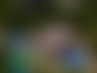 PQT Traslados + Hotel todo incluido Coral Blue Huatulco