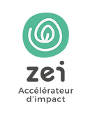 LogoZEI