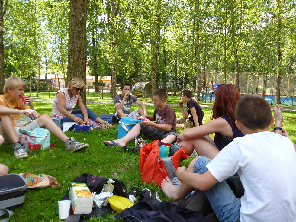 Pierre brune 072.JPG