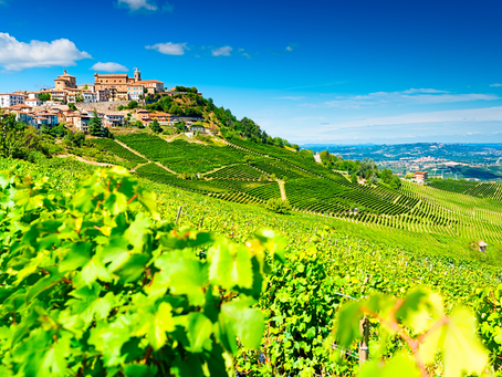 Découvrons le Barolo : Le Roi des Vins