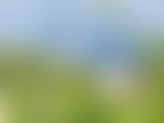 Semaine des vins du Rhône au NB avec Chapoutier