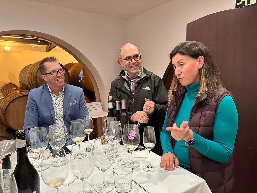 Discussion de vin avec l'oenologue