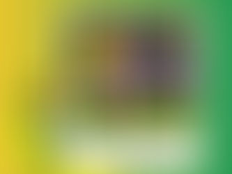 Linnets look to get back on track against pioneering visitors