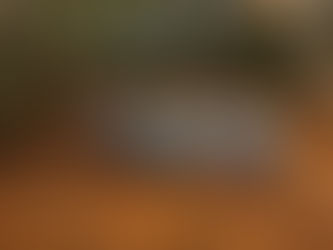 Scouts win Linnets support for Alpine adventure