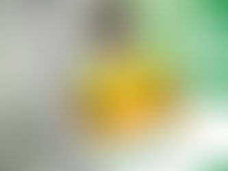 Linnets strike deal wth Chester for Oskar Rosenblatt loan