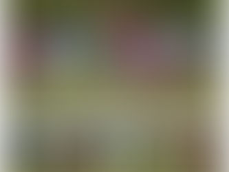 Runcorn youngsters lift the spirits