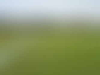 Club condemns use of pyrotechnics