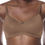 Miniature : Mara Padded Wire-free surgical Bra 