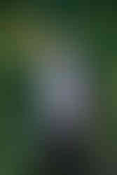 Hotel Peter and Paul New Orleans Rebecka Pitre Photography