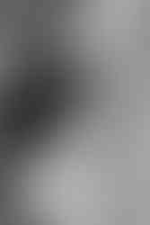 Hotel Peter and Paul New Orleans Rebecka Pitre Photography