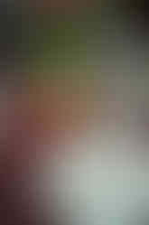 Hotel Peter and Paul New Orleans Rebecka Pitre Photography