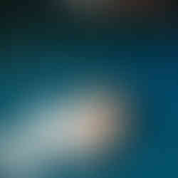 Austin Backyeard wedding Texas Hill Country Rebecka Pitre Photograhy 