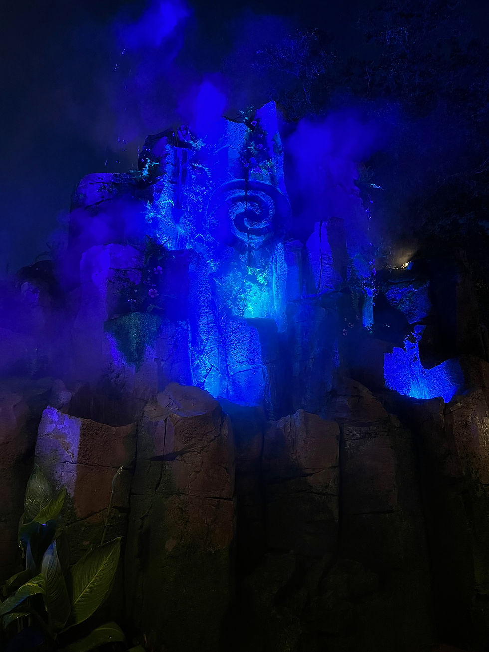 A unique feature at Moana