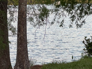 Making the Most Out of Summer: Why It's a Blessing Regardless of Your Preferences