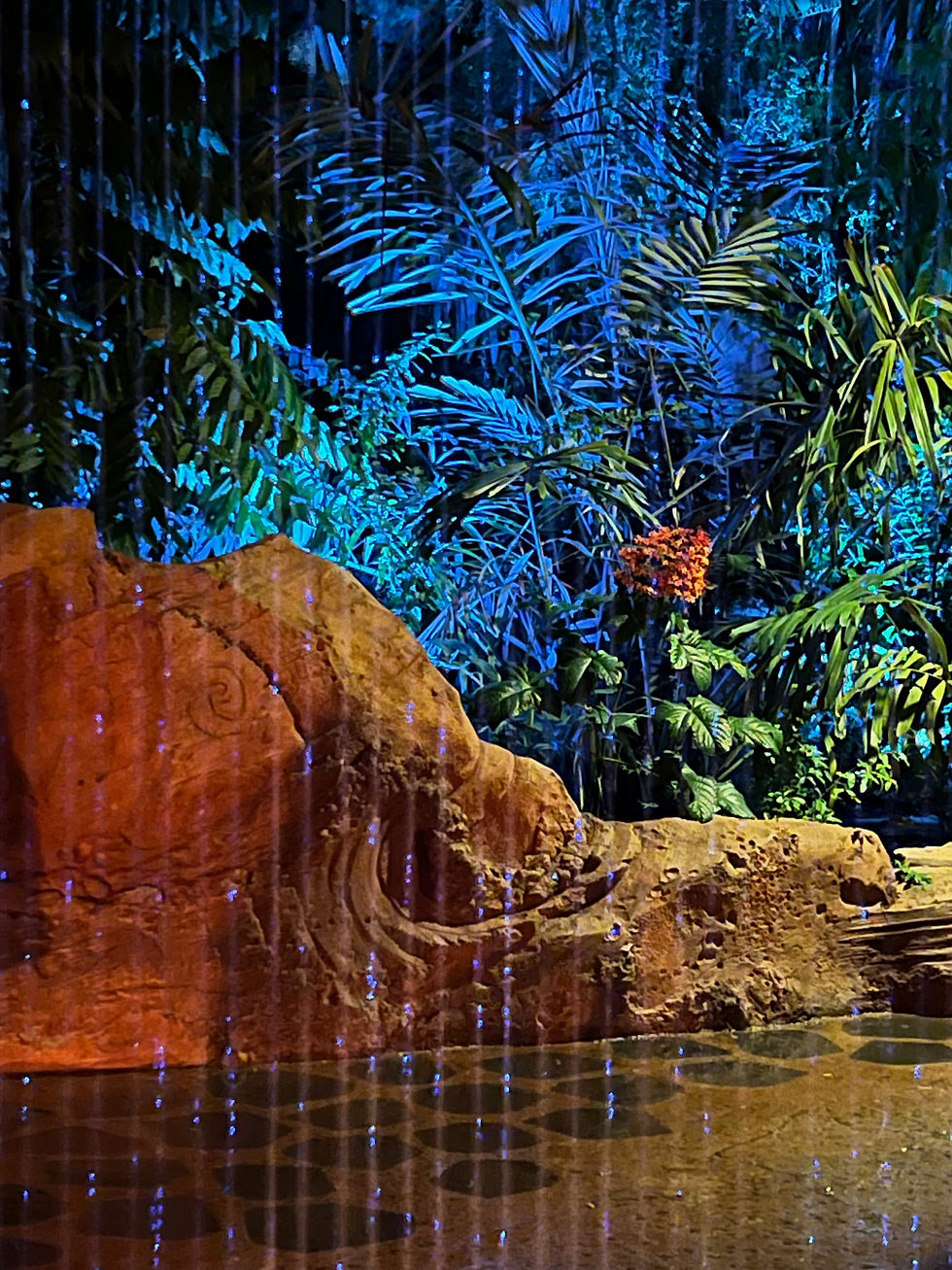The wet path option at Journey of Water
