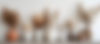 AdobeStock_895830766.jpeg