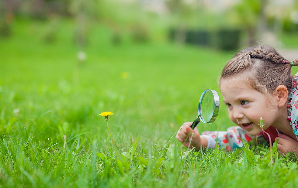 The Little Bugs: Ages 4-6
