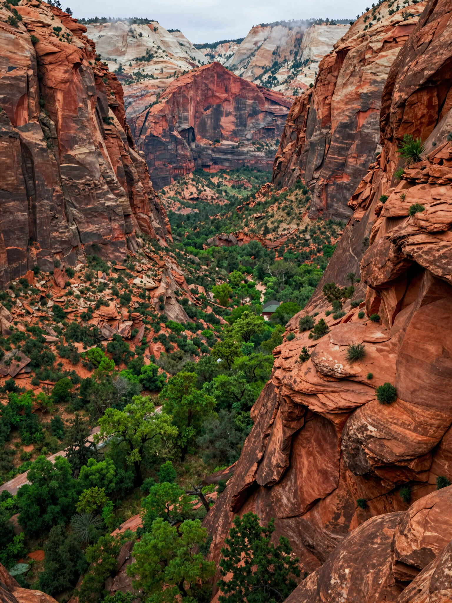 Zion Exploration