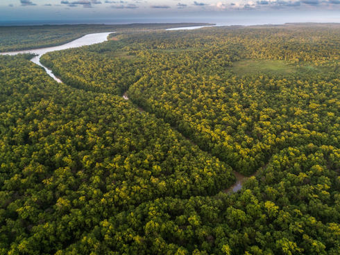 Um chamado para a realidade da Amazônia
