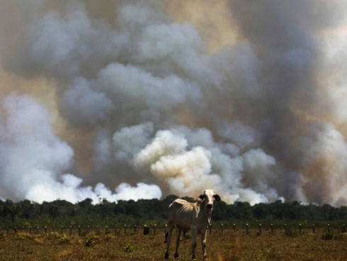 Mudanças climáticas e seus impactos para a defesa nacional, a segurança e a soberania
