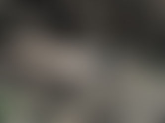 EL SÓTANO (Parte II)