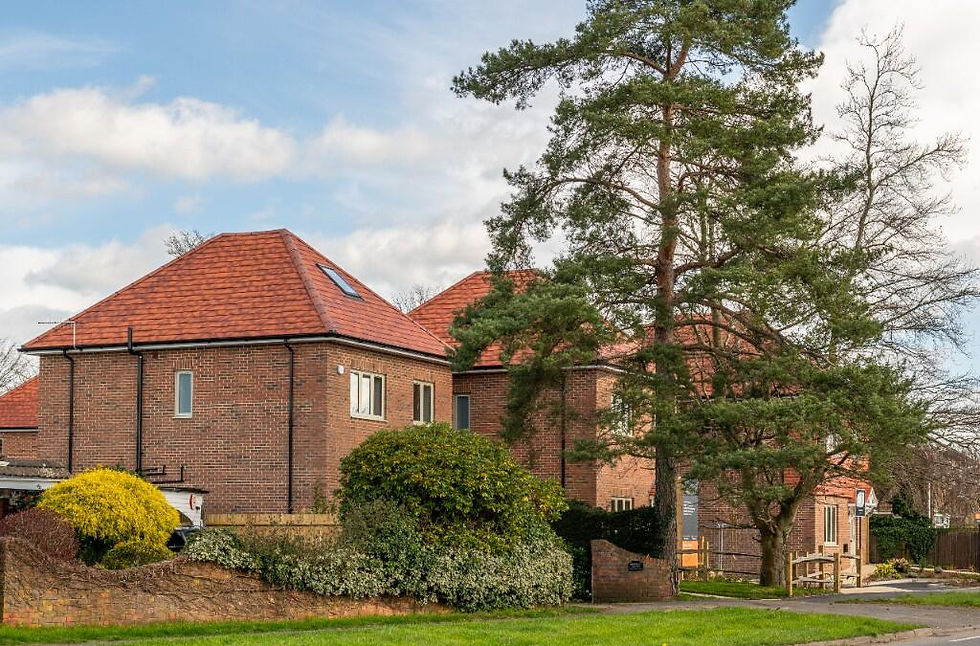 Residential Development Insight: Weatherhill Road, Smallfield 