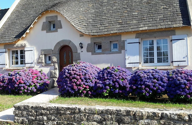extérieurs (19).jpg