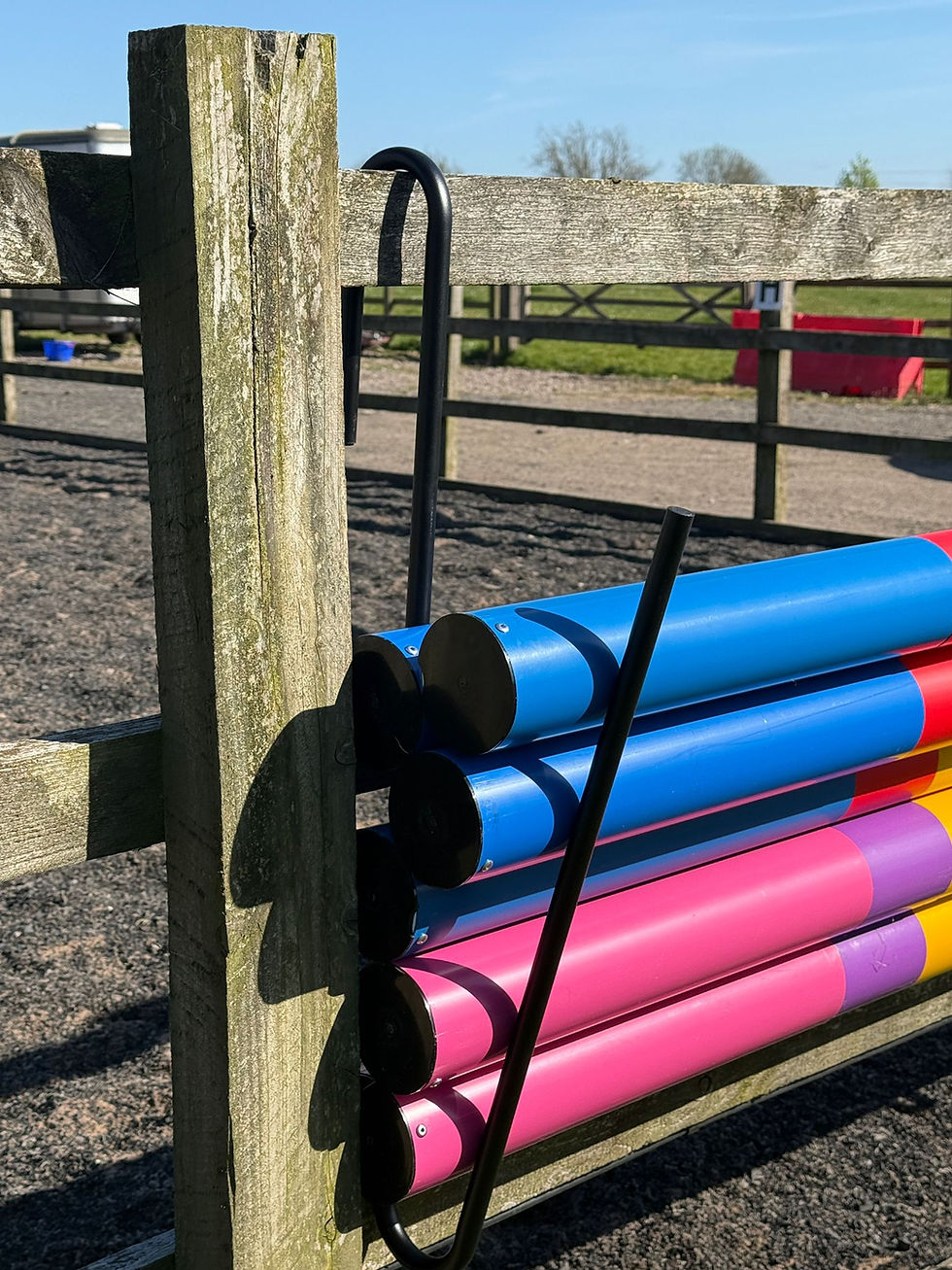 Pair of pole holders with poles