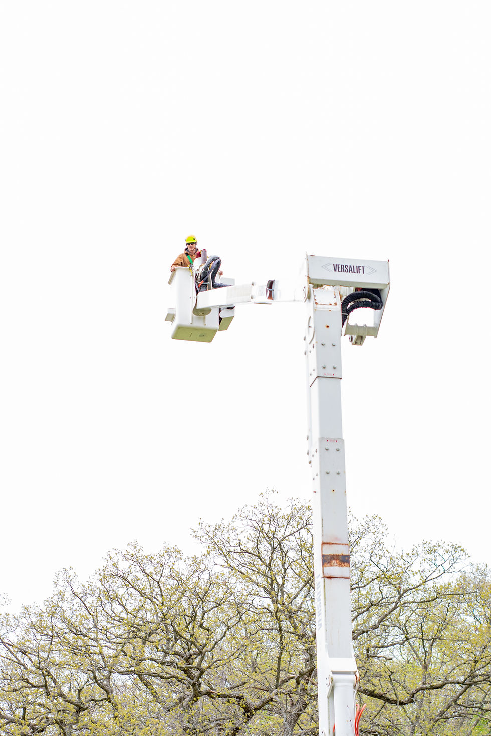 Worker in a bucket lift wearing a helmet, high above trees. The lift is labeled "VERSALIFT" against a clear sky.