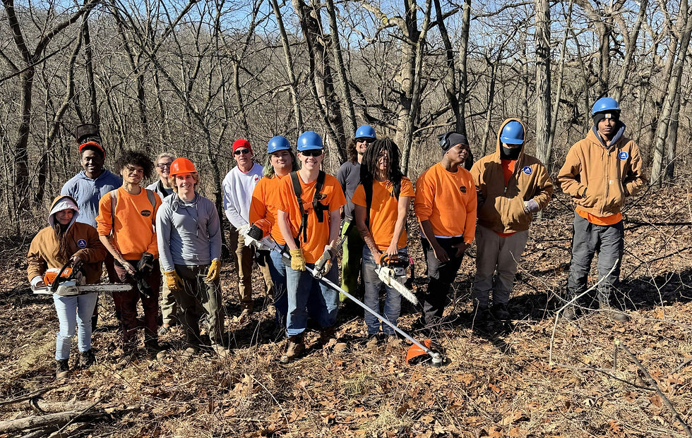 A group of people in orange shirts and safety gear, holding tools in a leaf-covered forest. Sunlit, winter setting with bare trees.