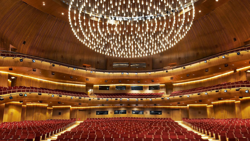 Istanbul State Symphony Orchestra