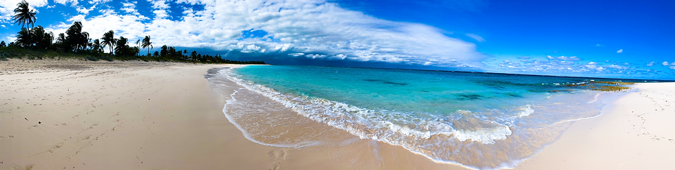 A736B37D-A05C-4389-B61C-83C7C609E447_edited.png